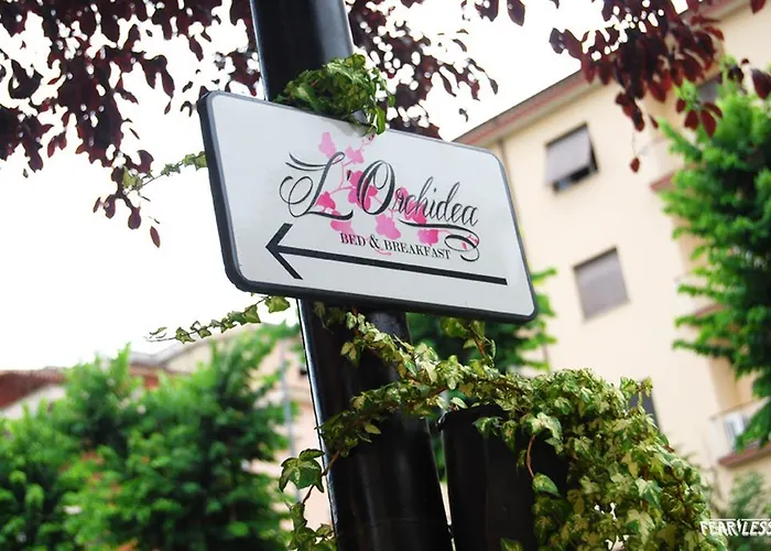 L'Orchidea