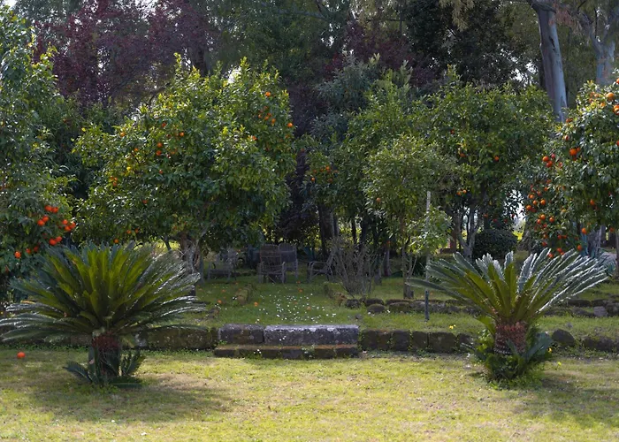 Ponteronico