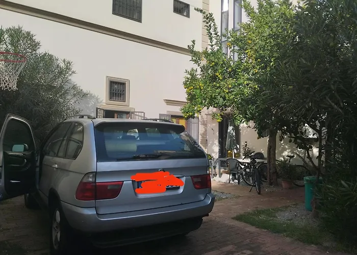 Asso Di Coppa
