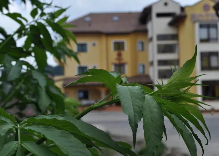 Hotel Duca Di Calabria