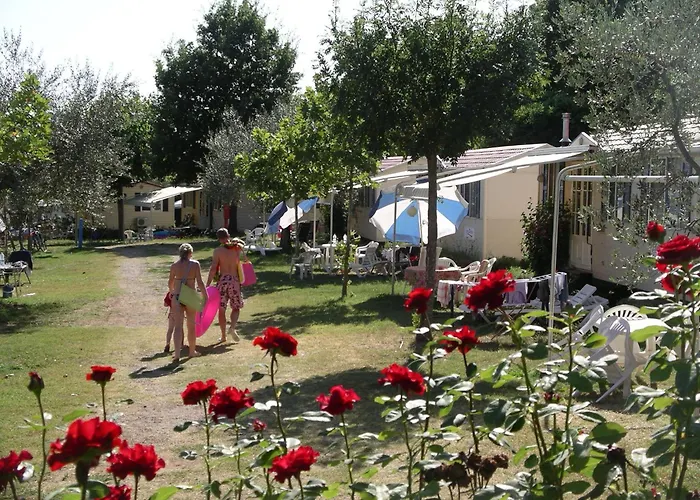 Blu International Camping