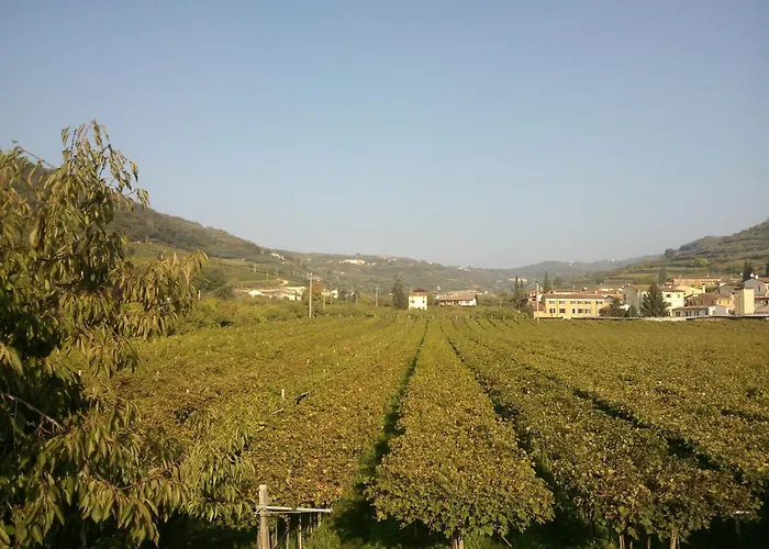 Albergo Grobberio