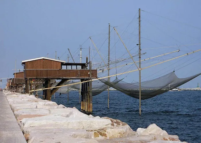 Ragno D'Oro