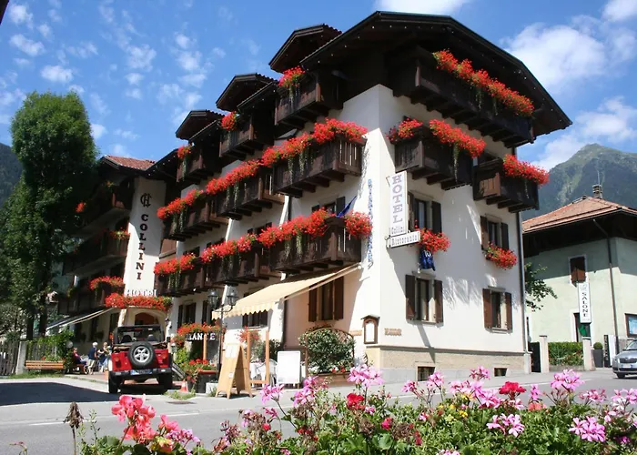 Hotel Collini