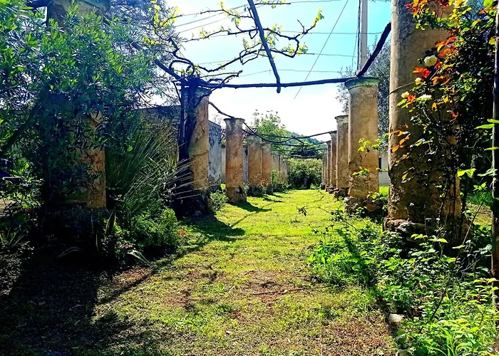 Agriturismo La Selva