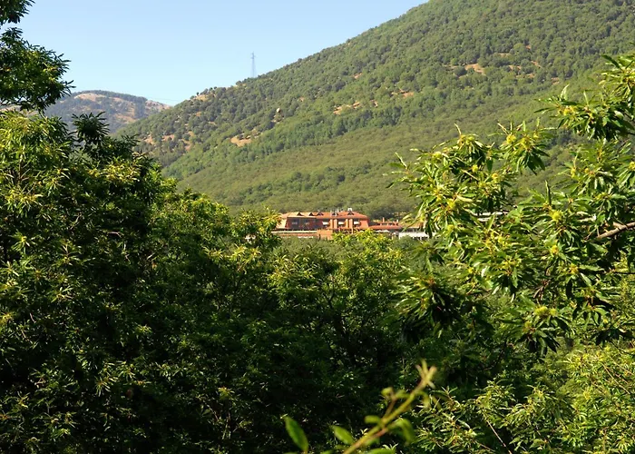 Serino