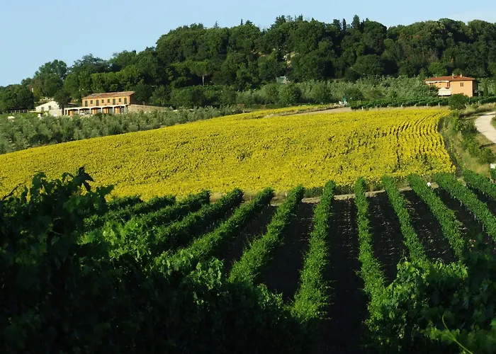 Bio Agriturismo Il Torrione