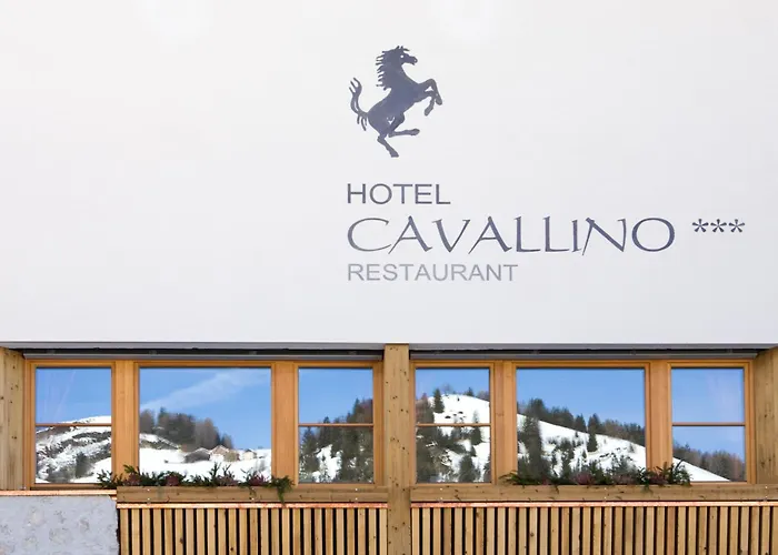 Cavallino