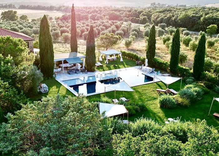Dojo Bianco