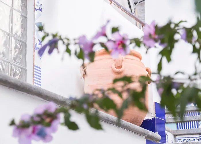 Villa Giulia - Vesuvian Guest House