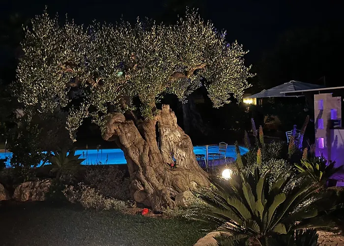 Alla villa di Angelo