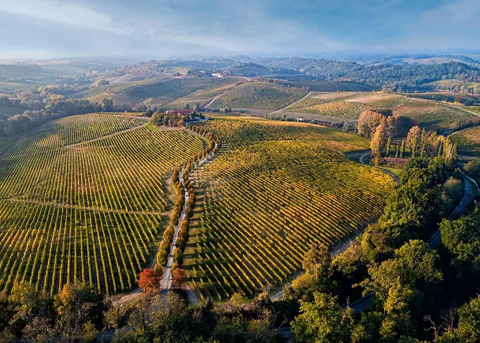 Tenuta La Meirana