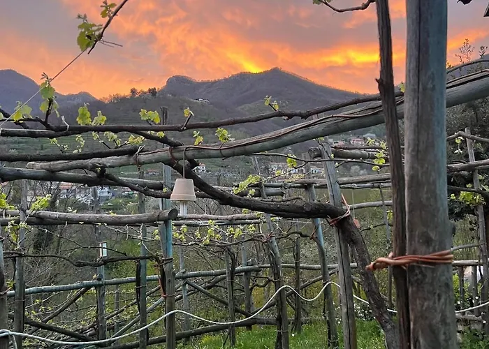 Agriturismo Il Tintore