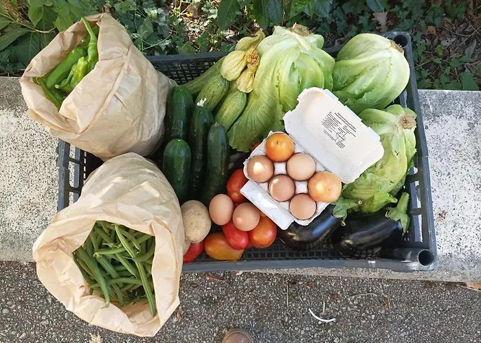 Tenuta Vitale - Azienda Agricola Multifunzionale