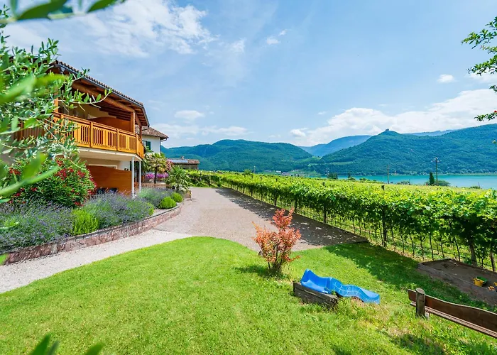 Weinhof Am