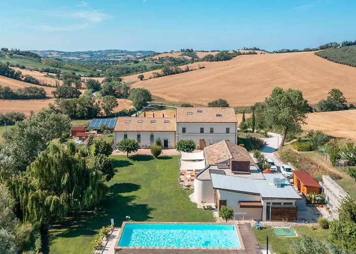 Il Gallo Senone Di Campagna