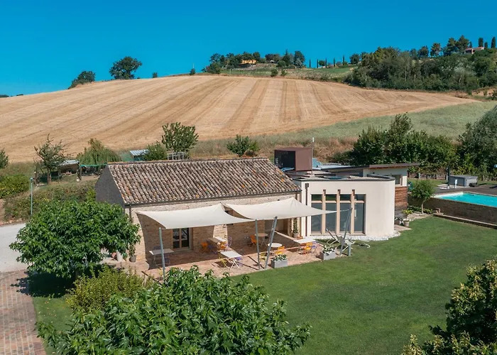 Il Gallo Senone Di Campagna