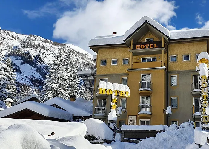 Bouton D'Or Courmayeur