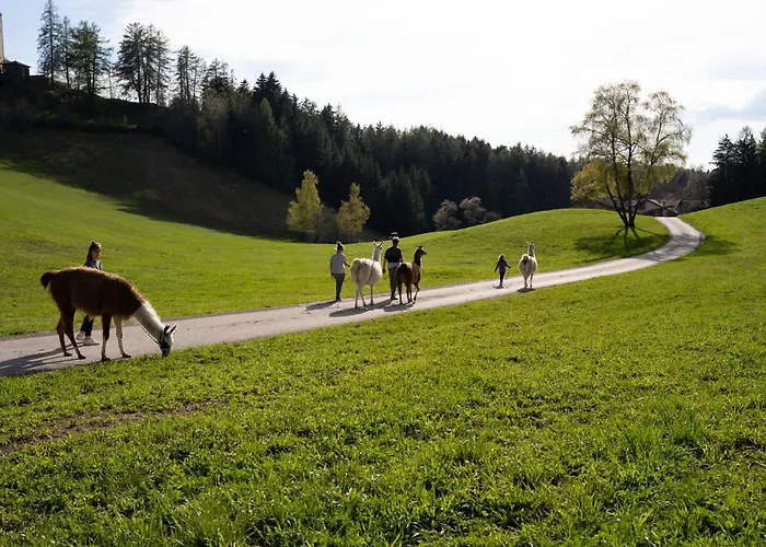 Ferienwohnung Schupferhof Petersberg