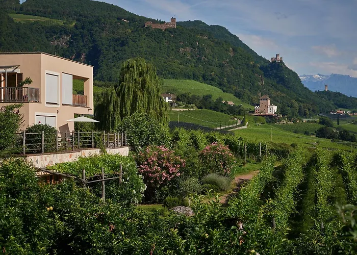 Weingut Stuck