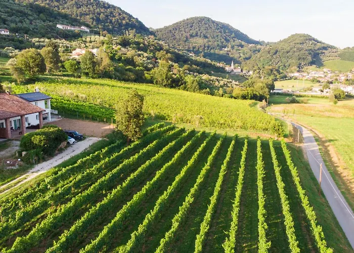 Agriturismo Mazzeracca