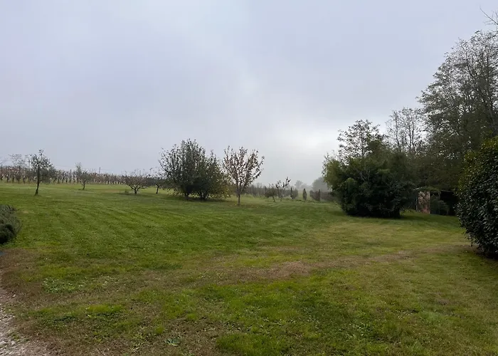 Al Vigneto