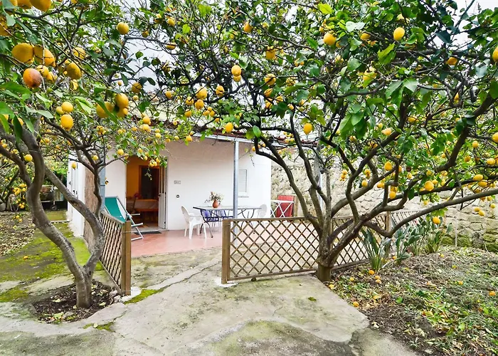 Residence Limoneto Ischia
