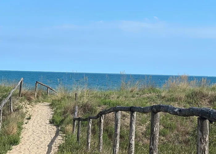 Sogno di mare