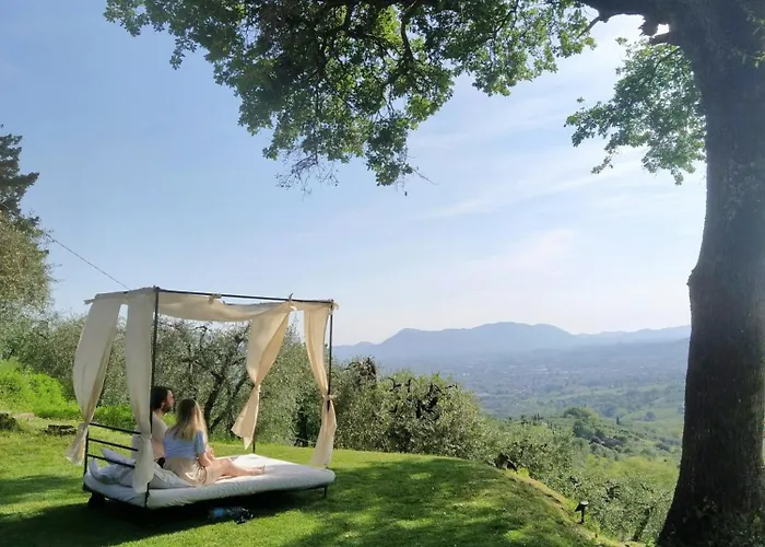 Azienda Agricola e Agriturismo Forestaria