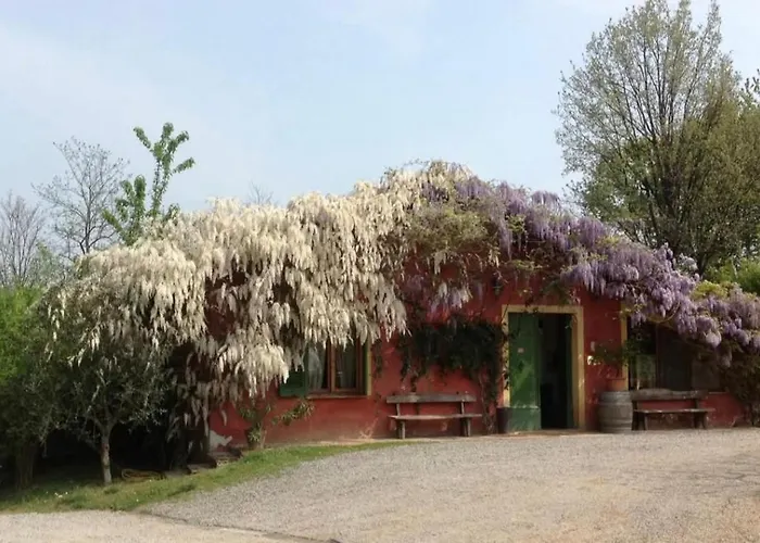 Agriturismo Cascina degli Ulivi