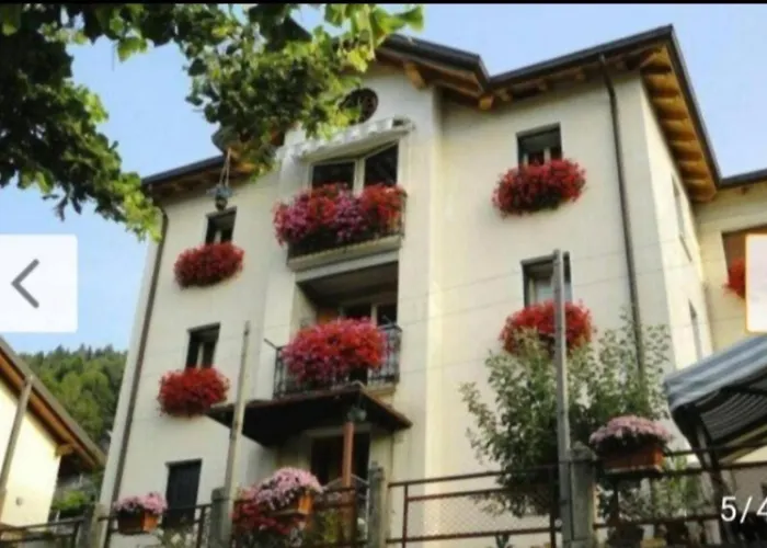 Il nido del pettirosso