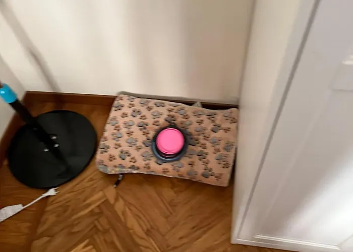 Mole Degli Artisti