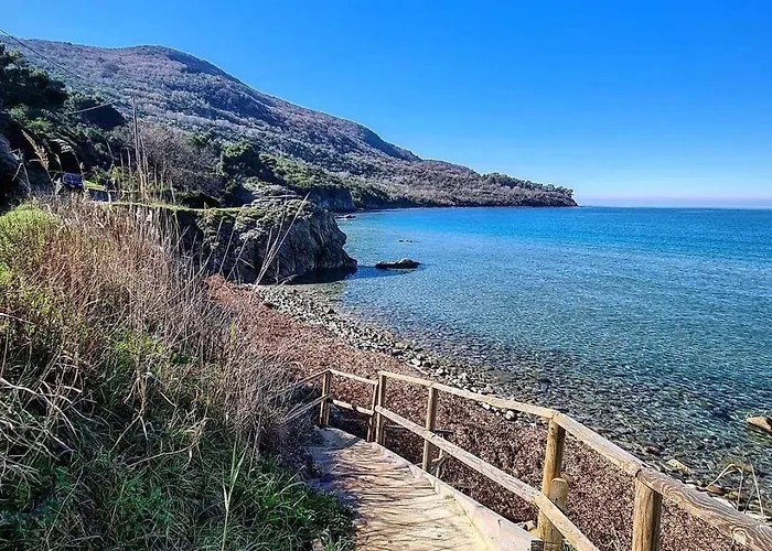 Domus Olea