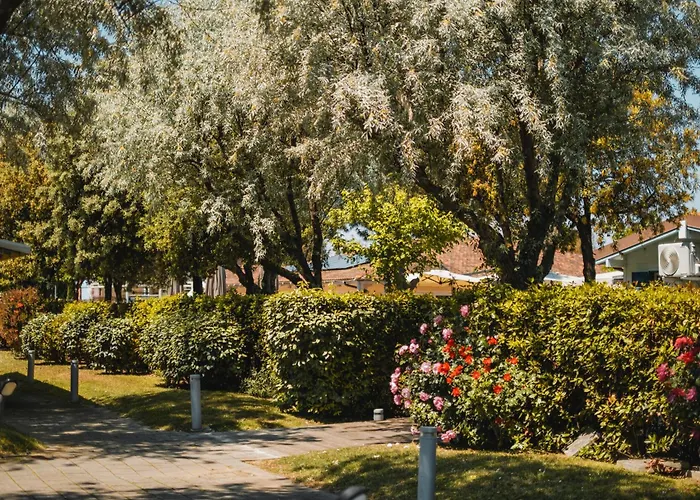 Natural Village