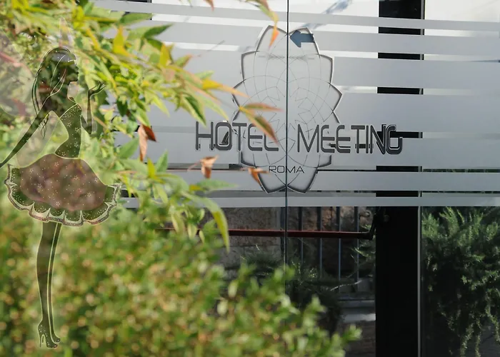 Meeting