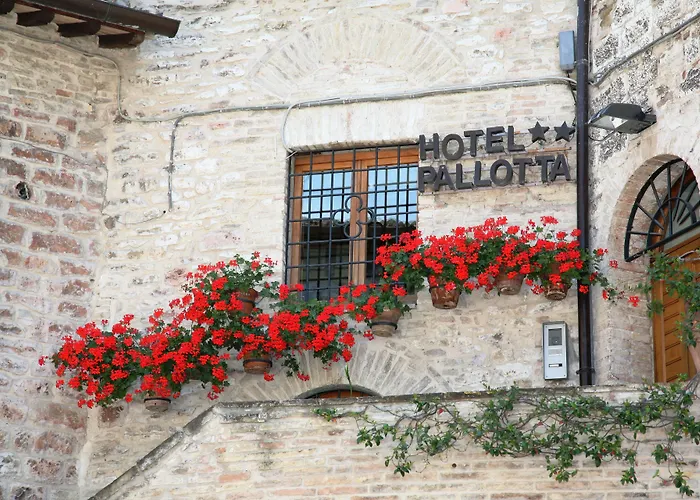 Trattoria Pallotta
