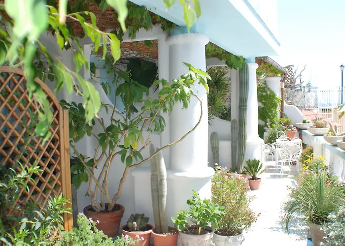 Hotel La Palma