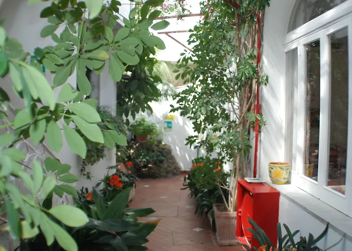 Hotel La Palma
