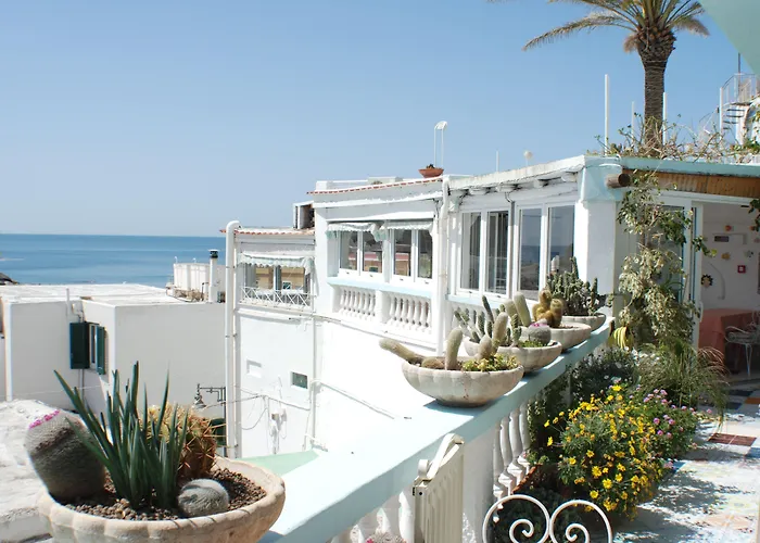 Hotel La Palma