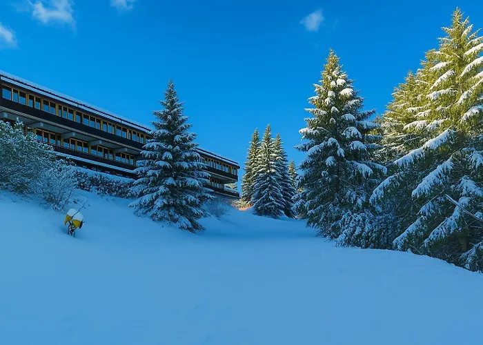 Residence Abete Marilleva