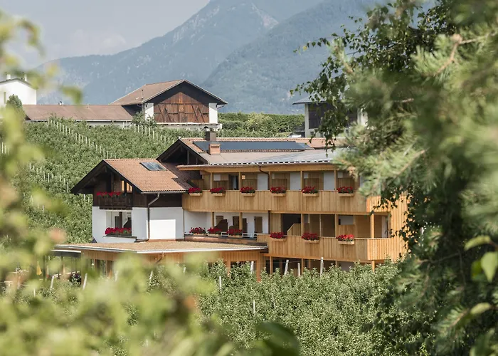 Jonathan