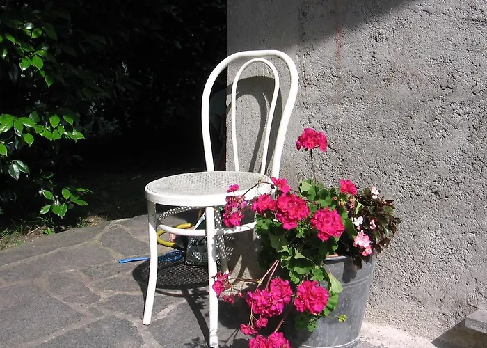 B&B Bosco Fiorito