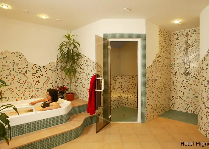 Hotel Mignon