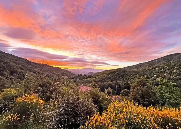Bio Agriturismo Il Vigno