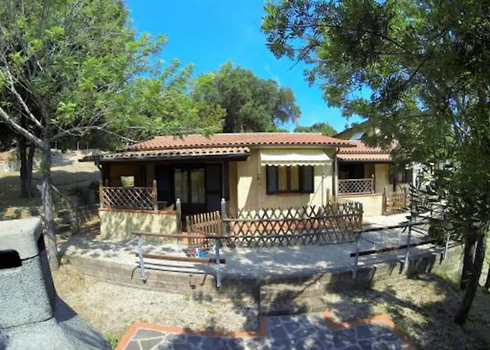 Le Querce - Lentisco