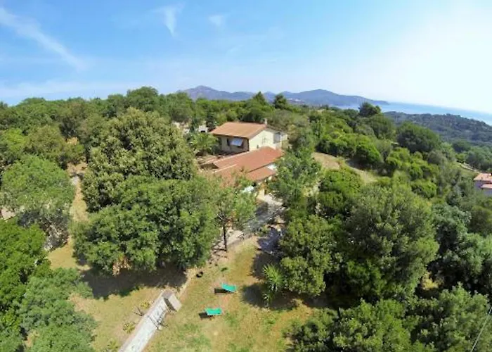 Le Querce - Lentisco