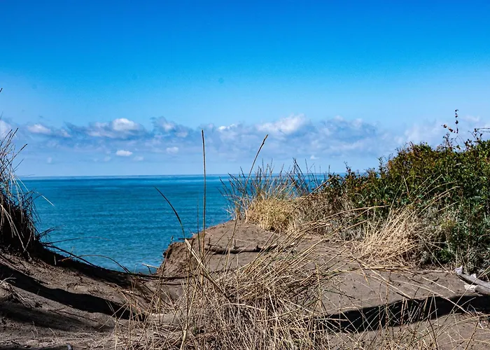 Agriturismo Il Tripesce Vada