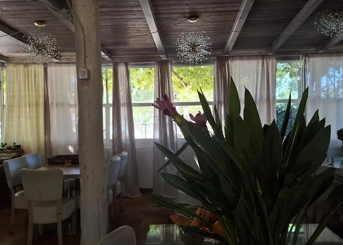 International Glamping Lago Di Bracciano Trevignano Romano