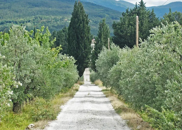 Podere Castellare