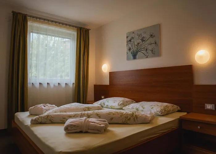 Hotel - Appartements Schmied Hans